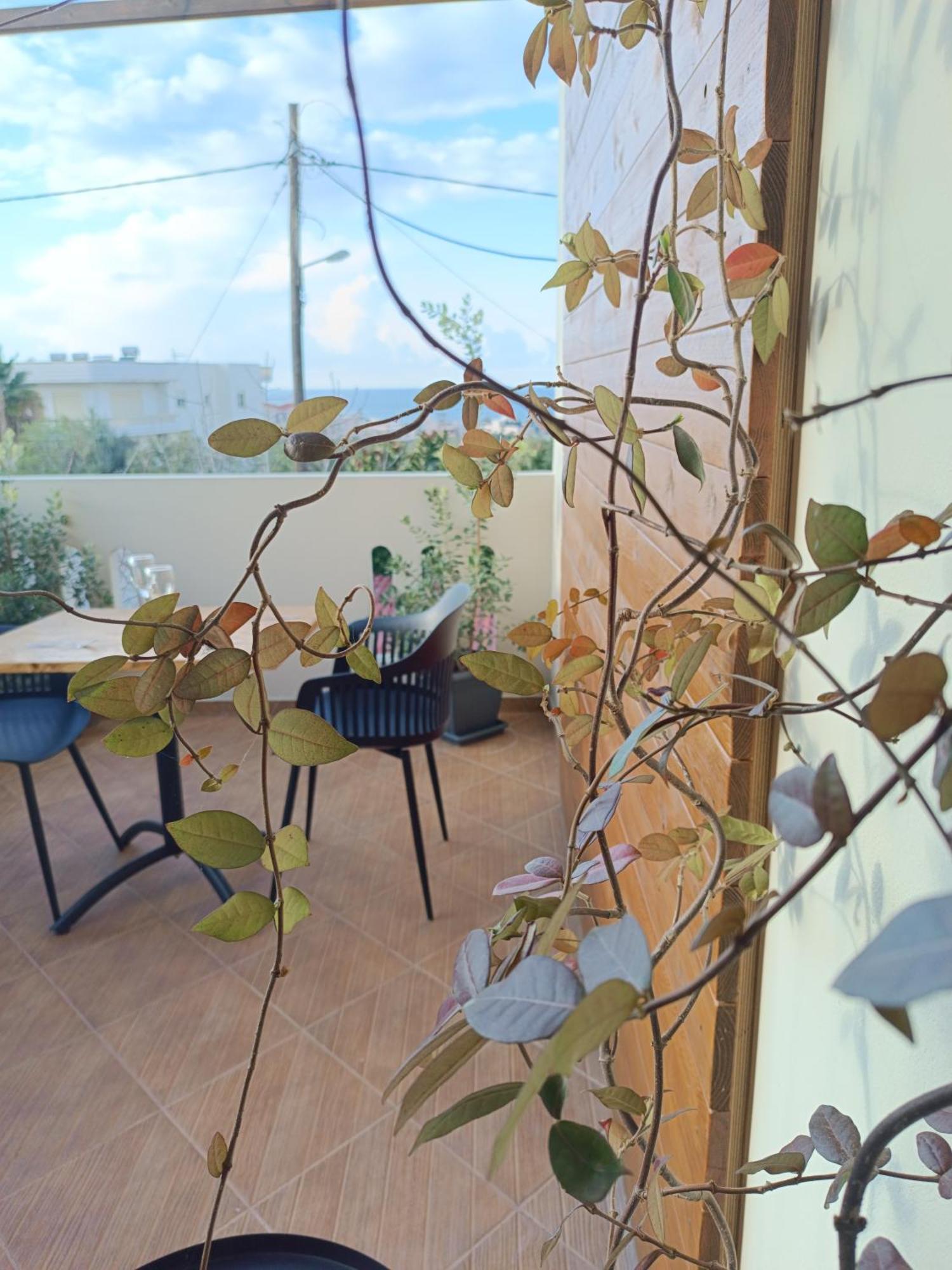 Giodriana Cozy Studio Agia Marina Exterior foto